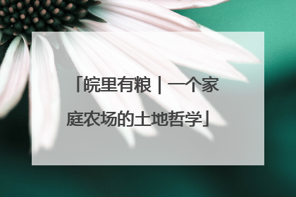 皖里有粮｜一个家庭农场的土地哲学