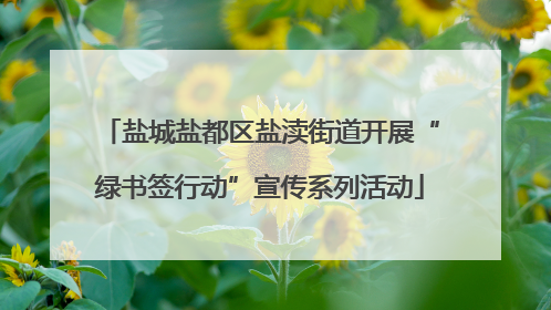 盐城盐都区盐渎街道开展“绿书签行动”宣传系列活动