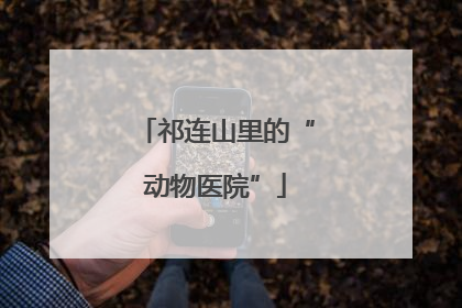 祁连山里的“动物医院”