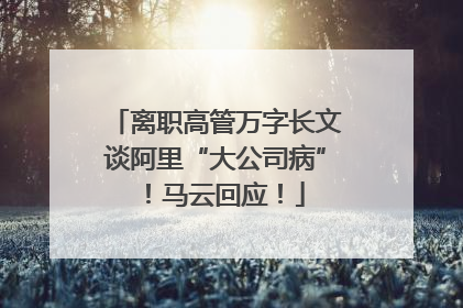 离职高管万字长文谈阿里“大公司病”！马云回应！