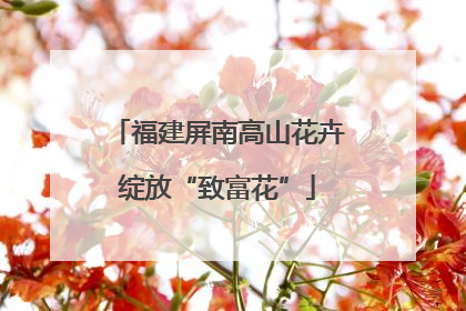 福建屏南高山花卉绽放“致富花”