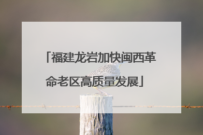 福建龙岩加快闽西革命老区高质量发展