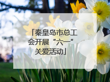秦皇岛市总工会开展“六一”关爱活动