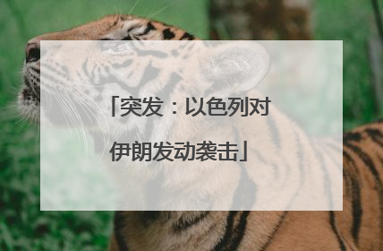突发：以色列对伊朗发动袭击