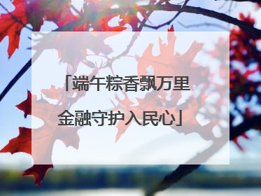 端午粽香飘万里 金融守护入民心
