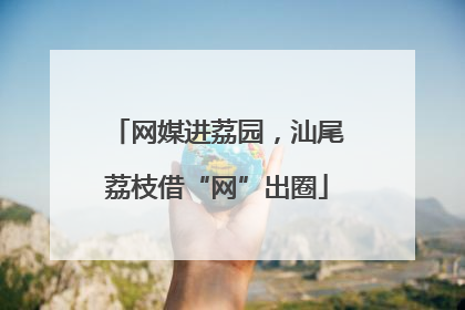 网媒进荔园，汕尾荔枝借“网”出圈
