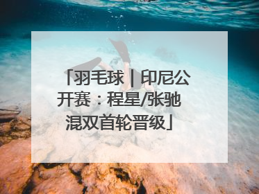 羽毛球｜印尼公开赛：程星/张驰混双首轮晋级