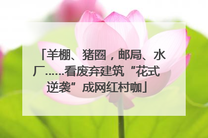 羊棚、猪圈，邮局、水厂……看废弃建筑“花式逆袭”成网红村咖