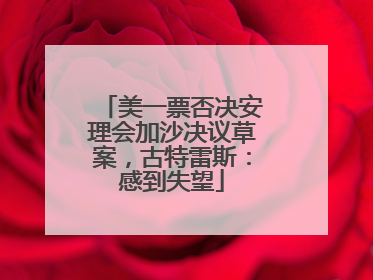 美一票否决安理会加沙决议草案，古特雷斯：感到失望