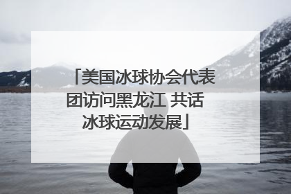 美国冰球协会代表团访问黑龙江 共话冰球运动发展