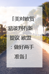 美对欧贸易谈判有新提议 欧盟：做好两手准备