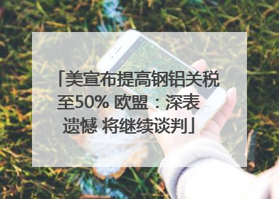 美宣布提高钢铝关税至50% 欧盟：深表遗憾 将继续谈判
