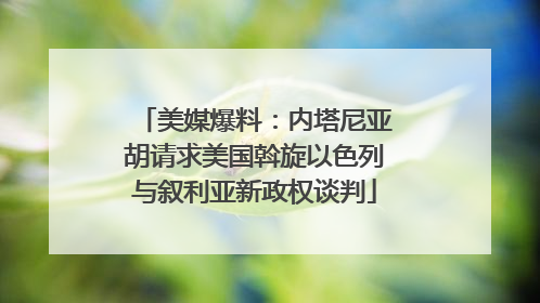 美媒爆料：内塔尼亚胡请求美国斡旋以色列与叙利亚新政权谈判