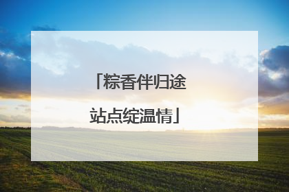 粽香伴归途 站点绽温情