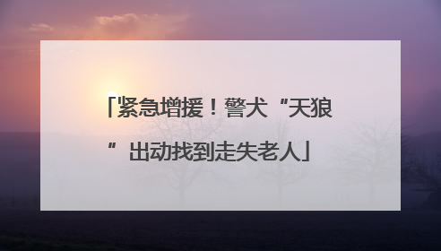 紧急增援！警犬“天狼”出动找到走失老人