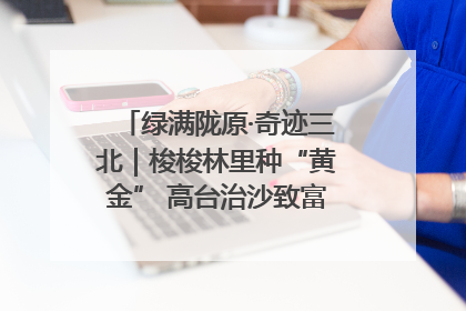 绿满陇原·奇迹三北｜梭梭林里种“黄金” 高台治沙致富很“从容”