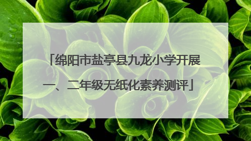 绵阳市盐亭县九龙小学开展一、二年级无纸化素养测评