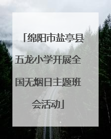 绵阳市盐亭县五龙小学开展全国无烟日主题班会活动