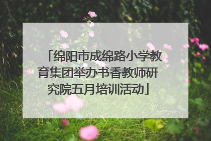绵阳市成绵路小学教育集团举办书香教师研究院五月培训活动