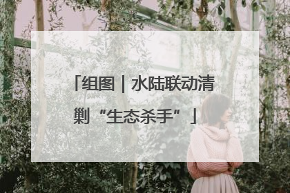 组图｜水陆联动清剿“生态杀手”