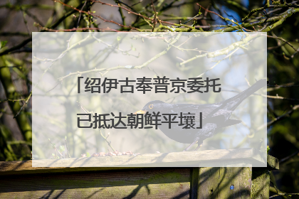 绍伊古奉普京委托已抵达朝鲜平壤