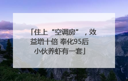 住上“空调房”，效益增十倍 奉化95后小伙养虾有一套