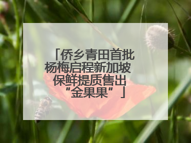侨乡青田首批杨梅启程新加坡 保鲜提质售出“金果果”