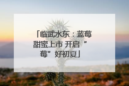 临武水东：蓝莓甜蜜上市 开启“莓”好初夏