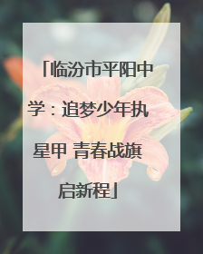临汾市平阳中学：追梦少年执星甲 青春战旗启新程