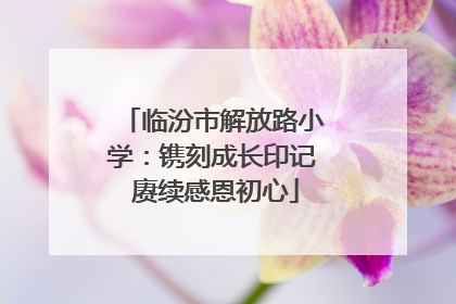临汾市解放路小学：镌刻成长印记 赓续感恩初心