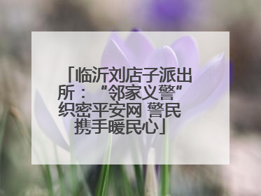 临沂刘店子派出所：“邻家义警”织密平安网 警民携手暖民心