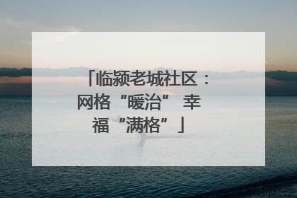 临颍老城社区：网格“暖治” 幸福“满格”