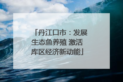 丹江口市：发展生态鱼养殖 激活库区经济新动能