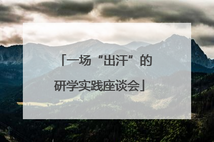 一场“出汗”的研学实践座谈会