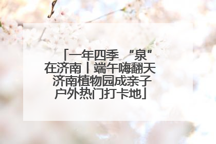 一年四季 “泉”在济南丨端午嗨翻天 济南植物园成亲子户外热门打卡地