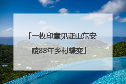一枚印章见证山东安陵88年乡村蝶变