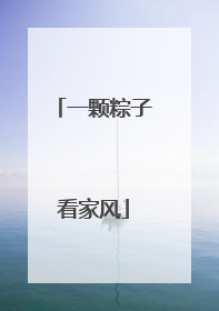 一颗粽子看家风