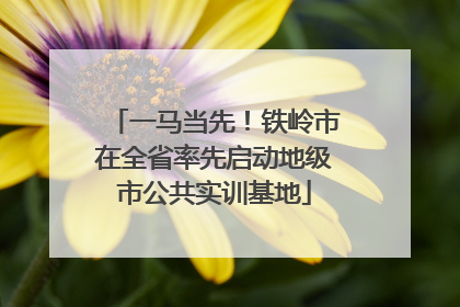 一马当先！铁岭市在全省率先启动地级市公共实训基地