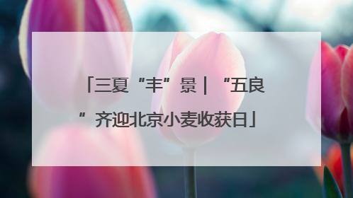 三夏“丰”景｜“五良”齐迎北京小麦收获日