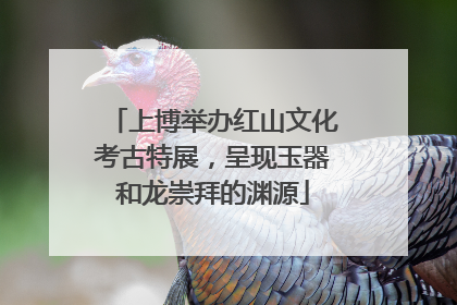 上博举办红山文化考古特展，呈现玉器和龙崇拜的渊源