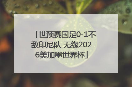 世预赛国足0-1不敌印尼队 无缘2026美加墨世界杯