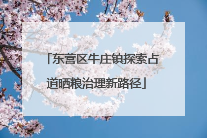 东营区牛庄镇探索占道晒粮治理新路径