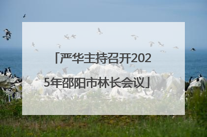 严华主持召开2025年邵阳市林长会议
