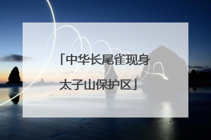 中华长尾雀现身太子山保护区
