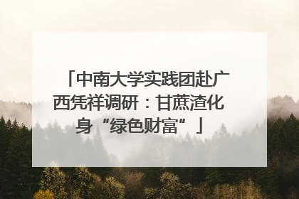 中南大学实践团赴广西凭祥调研：甘蔗渣化身“绿色财富”