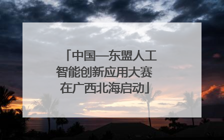 中国—东盟人工智能创新应用大赛在广西北海启动