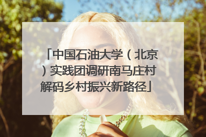 中国石油大学（北京）实践团调研南马庄村解码乡村振兴新路径