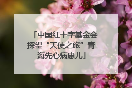 中国红十字基金会探望“天使之旅”青海先心病患儿