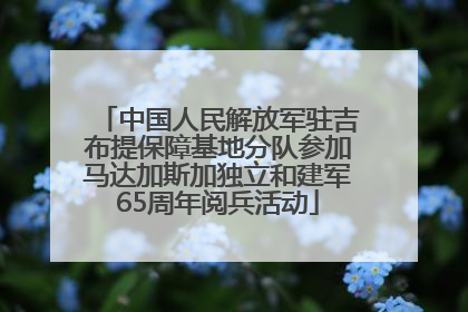 中国人民解放军驻吉布提保障基地分队参加马达加斯加独立和建军65周年阅兵活动