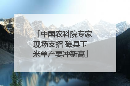 中国农科院专家现场支招 磁县玉米单产要冲新高